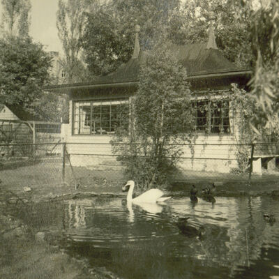 Bild vergrößern: Impressionen aus dem ehemaligen Tiergarten Unter der Alten Burg