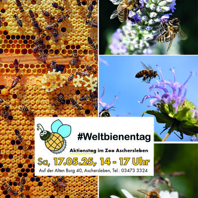 Aktionstag zum Weltbienentag im Zoo Aschersleben