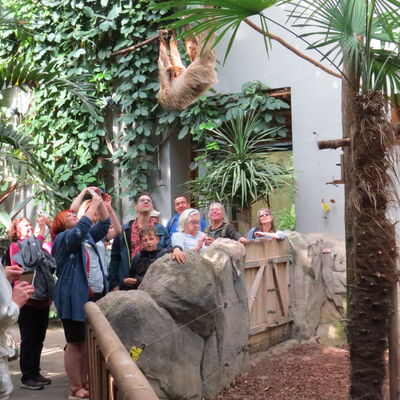 Bild vergrößern: Ausflug der Zoofreunde in den Tierpark Chemnitz